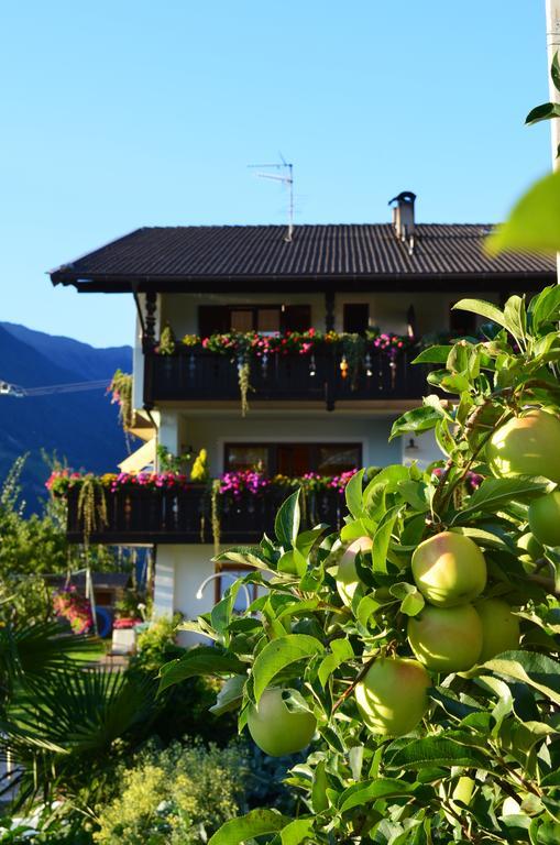 Zimmervermietung Groeberhof Schenna Extérieur photo